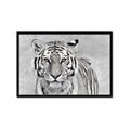 Picture of Big Tiger _GroupedProduct_Rectangle_Landscape_Photography _GroupedProduct_Rectangle_Landscape_Framed_Matted_
