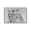 Picture of Big Tiger _GroupedProduct_Rectangle_Landscape_Photography _GroupedProduct_Rectangle_Landscape_Framed_Matted_