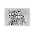 Picture of Big Tiger _GroupedProduct_Rectangle_Landscape_Photography _GroupedProduct_Rectangle_Landscape_Framed_Matted_