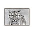 Picture of Big Tiger _GroupedProduct_Rectangle_Landscape_Photography _GroupedProduct_Rectangle_Landscape_Framed_Matted_