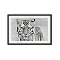 Picture of Big Tiger _GroupedProduct_Rectangle_Landscape_Photography _GroupedProduct_Rectangle_Landscape_Framed_Matted_
