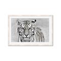Picture of Big Tiger _GroupedProduct_Rectangle_Landscape_Photography _GroupedProduct_Rectangle_Landscape_Framed_Matted_