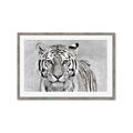 Picture of Big Tiger _GroupedProduct_Rectangle_Landscape_Photography _GroupedProduct_Rectangle_Landscape_Framed_Matted_
