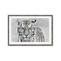 Picture of Big Tiger _GroupedProduct_Rectangle_Landscape_Photography _GroupedProduct_Rectangle_Landscape_Framed_Matted_