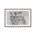 Picture of Big Tiger _GroupedProduct_Rectangle_Landscape_Photography _GroupedProduct_Rectangle_Landscape_Framed_Matted_