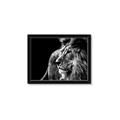 Picture of The Big Cat _GroupedProduct_Rectangle_Landscape_Photography _GroupedProduct_Rectangle_Landscape_Framed_Matted_