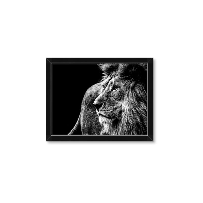 Picture of The Big Cat _GroupedProduct_Rectangle_Landscape_Photography _GroupedProduct_Rectangle_Landscape_Framed_Matted_