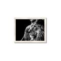 Picture of The Big Cat _GroupedProduct_Rectangle_Landscape_Photography _GroupedProduct_Rectangle_Landscape_Framed_Matted_