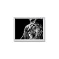 Picture of The Big Cat _GroupedProduct_Rectangle_Landscape_Photography _GroupedProduct_Rectangle_Landscape_Framed_Matted_
