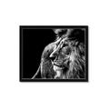 Picture of The Big Cat _GroupedProduct_Rectangle_Landscape_Photography _GroupedProduct_Rectangle_Landscape_Framed_Matted_