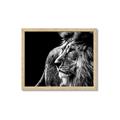 Picture of The Big Cat _GroupedProduct_Rectangle_Landscape_Photography _GroupedProduct_Rectangle_Landscape_Framed_Matted_