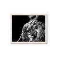 Picture of The Big Cat _GroupedProduct_Rectangle_Landscape_Photography _GroupedProduct_Rectangle_Landscape_Framed_Matted_