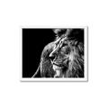Picture of The Big Cat _GroupedProduct_Rectangle_Landscape_Photography _GroupedProduct_Rectangle_Landscape_Framed_Matted_