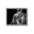 Picture of The Big Cat _GroupedProduct_Rectangle_Landscape_Photography _GroupedProduct_Rectangle_Landscape_Framed_Matted_
