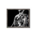Picture of The Big Cat _GroupedProduct_Rectangle_Landscape_Photography _GroupedProduct_Rectangle_Landscape_Framed_Matted_