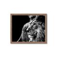 Picture of The Big Cat _GroupedProduct_Rectangle_Landscape_Photography _GroupedProduct_Rectangle_Landscape_Framed_Matted_