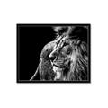 Picture of The Big Cat _GroupedProduct_Rectangle_Landscape_Photography _GroupedProduct_Rectangle_Landscape_Framed_Matted_