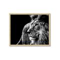 Picture of The Big Cat _GroupedProduct_Rectangle_Landscape_Photography _GroupedProduct_Rectangle_Landscape_Framed_Matted_