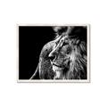 Picture of The Big Cat _GroupedProduct_Rectangle_Landscape_Photography _GroupedProduct_Rectangle_Landscape_Framed_Matted_