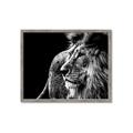 Picture of The Big Cat _GroupedProduct_Rectangle_Landscape_Photography _GroupedProduct_Rectangle_Landscape_Framed_Matted_