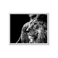 Picture of The Big Cat _GroupedProduct_Rectangle_Landscape_Photography _GroupedProduct_Rectangle_Landscape_Framed_Matted_