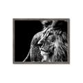 Picture of The Big Cat _GroupedProduct_Rectangle_Landscape_Photography _GroupedProduct_Rectangle_Landscape_Framed_Matted_