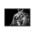 Picture of The Big Cat _GroupedProduct_Rectangle_Landscape_Photography _GroupedProduct_Rectangle_Landscape_Framed_Matted_