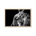 Picture of The Big Cat _GroupedProduct_Rectangle_Landscape_Photography _GroupedProduct_Rectangle_Landscape_Framed_Matted_