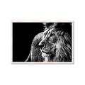 Picture of The Big Cat _GroupedProduct_Rectangle_Landscape_Photography _GroupedProduct_Rectangle_Landscape_Framed_Matted_