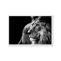 Picture of The Big Cat _GroupedProduct_Rectangle_Landscape_Photography _GroupedProduct_Rectangle_Landscape_Framed_Matted_