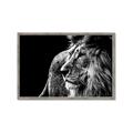 Picture of The Big Cat _GroupedProduct_Rectangle_Landscape_Photography _GroupedProduct_Rectangle_Landscape_Framed_Matted_