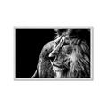 Picture of The Big Cat _GroupedProduct_Rectangle_Landscape_Photography _GroupedProduct_Rectangle_Landscape_Framed_Matted_