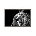 Picture of The Big Cat _GroupedProduct_Rectangle_Landscape_Photography _GroupedProduct_Rectangle_Landscape_Framed_Matted_