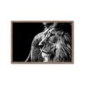 Picture of The Big Cat _GroupedProduct_Rectangle_Landscape_Photography _GroupedProduct_Rectangle_Landscape_Framed_Matted_