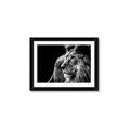 Picture of The Big Cat _GroupedProduct_Rectangle_Landscape_Photography _GroupedProduct_Rectangle_Landscape_Framed_Matted_