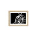 Picture of The Big Cat _GroupedProduct_Rectangle_Landscape_Photography _GroupedProduct_Rectangle_Landscape_Framed_Matted_