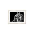 Picture of The Big Cat _GroupedProduct_Rectangle_Landscape_Photography _GroupedProduct_Rectangle_Landscape_Framed_Matted_