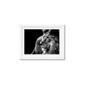 Picture of The Big Cat _GroupedProduct_Rectangle_Landscape_Photography _GroupedProduct_Rectangle_Landscape_Framed_Matted_