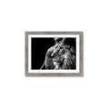 Picture of The Big Cat _GroupedProduct_Rectangle_Landscape_Photography _GroupedProduct_Rectangle_Landscape_Framed_Matted_