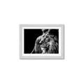 Picture of The Big Cat _GroupedProduct_Rectangle_Landscape_Photography _GroupedProduct_Rectangle_Landscape_Framed_Matted_