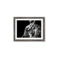 Picture of The Big Cat _GroupedProduct_Rectangle_Landscape_Photography _GroupedProduct_Rectangle_Landscape_Framed_Matted_