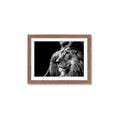 Picture of The Big Cat _GroupedProduct_Rectangle_Landscape_Photography _GroupedProduct_Rectangle_Landscape_Framed_Matted_