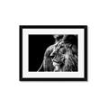 Picture of The Big Cat _GroupedProduct_Rectangle_Landscape_Photography _GroupedProduct_Rectangle_Landscape_Framed_Matted_
