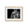 Picture of The Big Cat _GroupedProduct_Rectangle_Landscape_Photography _GroupedProduct_Rectangle_Landscape_Framed_Matted_