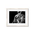 Picture of The Big Cat _GroupedProduct_Rectangle_Landscape_Photography _GroupedProduct_Rectangle_Landscape_Framed_Matted_