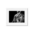 Picture of The Big Cat _GroupedProduct_Rectangle_Landscape_Photography _GroupedProduct_Rectangle_Landscape_Framed_Matted_