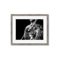 Picture of The Big Cat _GroupedProduct_Rectangle_Landscape_Photography _GroupedProduct_Rectangle_Landscape_Framed_Matted_