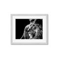 Picture of The Big Cat _GroupedProduct_Rectangle_Landscape_Photography _GroupedProduct_Rectangle_Landscape_Framed_Matted_