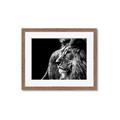 Picture of The Big Cat _GroupedProduct_Rectangle_Landscape_Photography _GroupedProduct_Rectangle_Landscape_Framed_Matted_