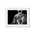 Picture of The Big Cat _GroupedProduct_Rectangle_Landscape_Photography _GroupedProduct_Rectangle_Landscape_Framed_Matted_